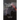 The Day of the Lord