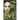 Eve: In the Beginning