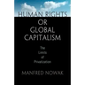 Human Rights or Global Capitalism: The Limits of Privatization