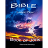 Bible Large Print Word Search: Book of John