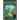 The Wishing Spell