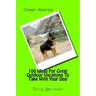 100 Ideas For Great Outdoor Vacations To Take With Your Dog