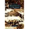 Wrightwood and Big Pines