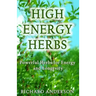 High Energy Herbs: Powerful Herbs for Energy and Longevity