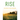 Rise: An Authentic Lenten Devotional