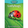 Ladybugs
