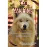 The Wolfdog: Genetics - characteristics - cares - feeding and more