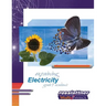 Explaining Electricity: Student Exercises and Teachers Guide