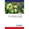 Olive Cultivation in Egypt