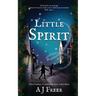 Little Spirit: A children's mystery adventure