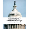 Examining the Fintech Landscape