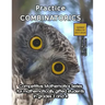Practice Combinatorics: Level 2 (ages 9 to 11)