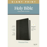 KJV Personal Size Giant Print Bible, Filament Enabled Edition (Leatherlike, Black/Onyx)