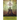 The Trees: Volume 29