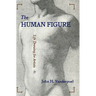 The Human Figure