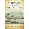 Africans in the Old South: Mapping Exceptional Lives Across the Atlantic World