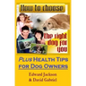 How To Choose The Right Dog For You: Plus Health Tips for Dog Owners