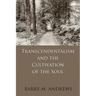 Transcendentalism and the Cultivation of the Soul