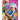 Remy's Kitchen Celebration: Easy Step by Step Recipes from a Master Chef Junior Finalist Volume 1