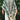 d889c8c4-d555-46b8-a98a-8e05e61c9a93-Max