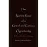 The Narrow Road of a Grand and Curious Opportunity