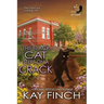 The Black Cat Steps on a Crack
