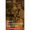 God's Promise to His Plantation