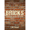 Bricks: A Personal Journey to Freedom