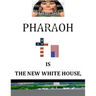 'Pharoah' Is the New White House: BY: Nelson Norman, Writer