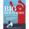 Big Behaviors in Small Containers: 131 Trauma-Informed Play Therapy Interventions for Disorders of Dysregulation