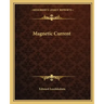 Magnetic Current