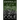 Emerald City Thrillers: Books 1-5