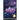 Ethereal: Whispers of The Soul