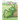 The Funny Grasshopper