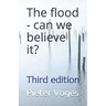 The flood - can we believe it?: Third edition