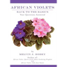 African Violets Back to the Basics: Your Questions Answered