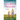 The First Wife's Secret