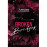 Broken Bridges: A Slow Burn Rockstar Romance - DISCREET SPECIAL EDITION