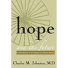 Hope and the Future: An Introduction to the Concept of Cultural Maturity