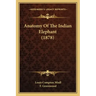 Anatomy Of The Indian Elephant (1878)