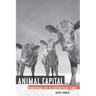 Animal Capital: Rendering Life in Biopolitical Times Volume 6