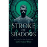 Stroke of Shadows: A Dark Paranormal Romance
