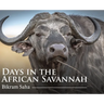 Days in the African Savannah