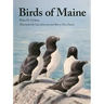 Birds of Maine