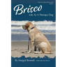 Brisco, Life As A Therapy Dog