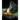 Koalas: Zen In Fur (Trade Color Edition)