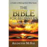 The Bible For Beginners And The Rest of Us: A Guide to Making Basic Bible Sense