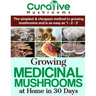 Growing Medicinal Mushrooms At Home The Easy Way: The Simplest & Cheapest Way To Grow Medicinal Mushrooms At Home Even If You Have Never Grown Anythin
