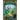 The Wishing Spell