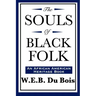 The Souls of Black Folk (An African American Heritage Book)